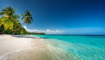 crystal clear ocean waves washing over a tropical white sand beach with tall palms swaying in the warm breeze