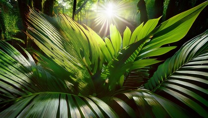 lush tropical foliage bathed in sunlight vibrant green leaves creating a serene and tranquil jungle scene