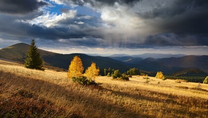 mountain meadow in autumn under storm clouds and evening sunlight