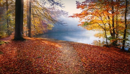 tranquil lakeside path in autumn forest with colorful fallen leaves and misty atmosphere