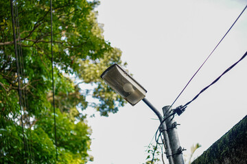 An upward gaze to a street lamp set against the backdrop of lush green foliage. The scene evokes an aura of calm and the simple beauty of urban nature coexisting harmoniously.