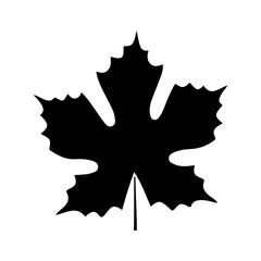Leaf icon