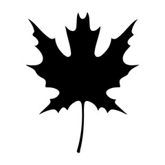 Leaf icon