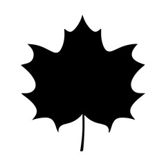 Leaf icon