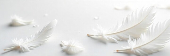 Delicate White Feathers Scattered on Pristine White Background Purity, Fragility, and Loss