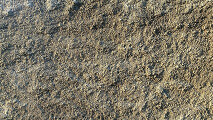 Rough cement wall. Grunge background