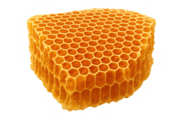 Close-up of honeycomb block, showcasing its intricate hexagonal structure, isolated on a transparent background
