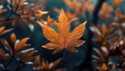 A brown leaf on a tree with orange and dark green foliage in the background.