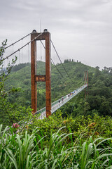 A pedestrian suspension bridge crosses a green valley near Huangling Village in Wuyuan, Jiangxi, China