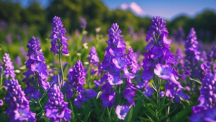 Naklejka premium Purple flowers with greenery in background, with empty copy space for text.