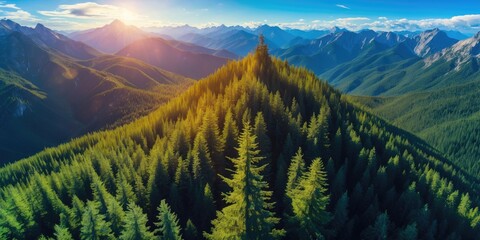Lush green forest covering a mountain ridge with the sun setting behind distant mountains and a clear blue sky.