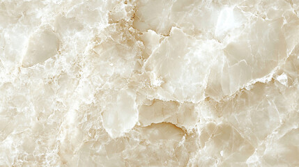 Close-up of a cream-colored polished shell surface with smooth, glossy texture and natural curves. Elegant, organic pattern with soft highlights emphasizing its lustrous finish.

