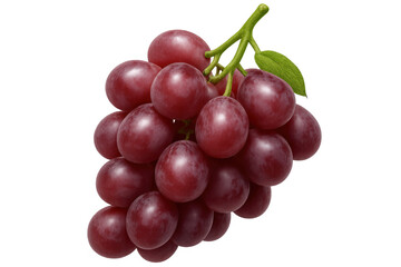 Fototapeta premium Ripe red grapes dangling from vineyard branches, isolated on transparent backdrop with clean graphic design potential