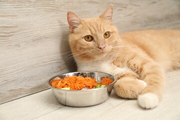 Cat with bowl full of raw natural products indoors. Pet's balanced diet