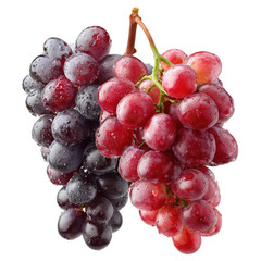 Fresh, ripe red grapes on a vine branch, isolated on white, a healthy and juicy natural dessert