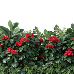 Red and white flowers decorate a winter garden with holly berries and green leaves, perfect for a Christmas holiday bouquet