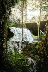 waterfall in the woods