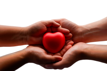 Red heart in hands love care giving charity health donation hope support together kindness relationship
