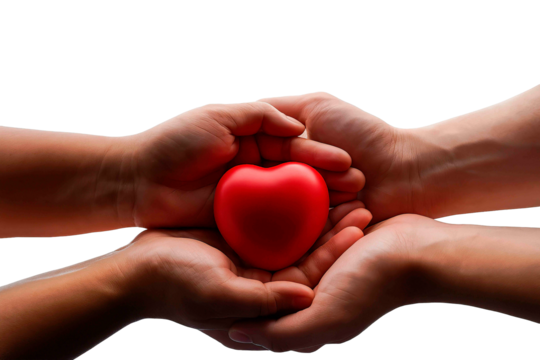 Red heart in hands love care giving charity health donation hope support together kindness relationship