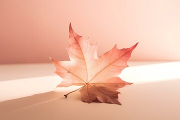 red maple leaf