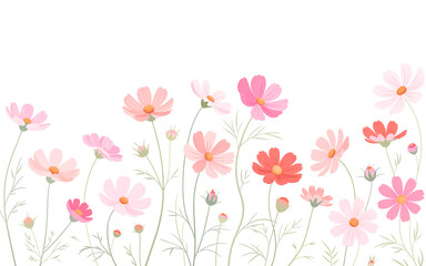 A delicate watercolor-style illustration of cosmos flowers in soft pastel colors against a pure white background.
