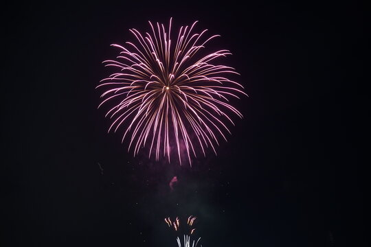 Spectacular Fireworks Display Pink and Purple Burst Against the Night Sky, Capturing the Celebration, Sparkle, and Festivity - Powered by Adobe
