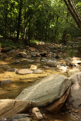 Peaceful Creek