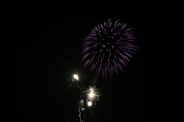 Fototapeta premium Stunning Purple and White Fireworks Display at Night