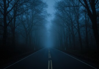 A dark and foggy road leads into a mysterious forest, shrouded in mist and shadow.