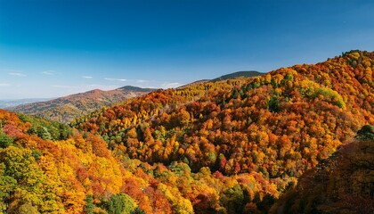 Obraz premium a rich tapestry of autumn hues covers a mountainside blending green orange and brown foliage