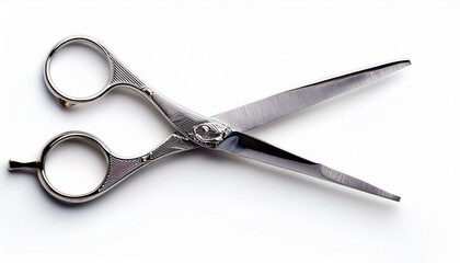Obraz premium Ornate hairdressing shears