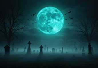 Keuken achterwand Volle maan A glowing full moon illuminates a graveyard filled with fog and bats on Halloween night.  © Selda