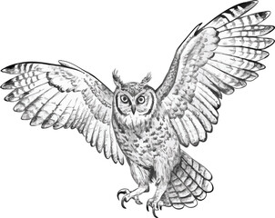 A great horned owl stretching one wing, revealing its beautiful feathers.