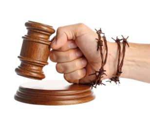 Strong Fist Entwined in Barbed Wire Clutching Judicial Gavel, Isolated on White Background