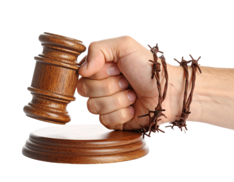 Strong Fist Entwined in Barbed Wire Clutching Judicial Gavel, Isolated on White Background