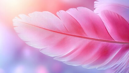 Naklejka premium Close-up of delicate pink feathers against a soft, dreamy bokeh background. Perfect for designs that require grace, elegance, or a gentle touch.