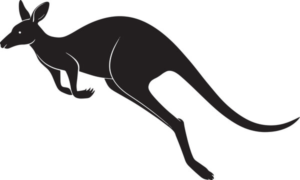 Black kangaroo leaping marsupial animal