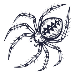Spiky Arachnid Creature With Cross Markings spider