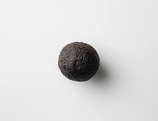 Single dark brown avocado on white background.