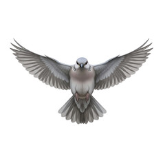 Flying bird symbol of peace and freedom