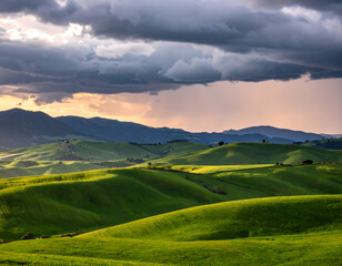 landscape with green grass and blue sky