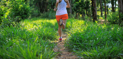 Woman trail runner running at tropical forest mountain peak