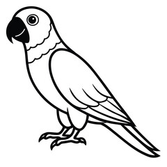 Colorful conure parrot bird illustration isolated on white background isolated on transparent background