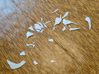 A broken white plate on the kitchen floor. The concept of family problems