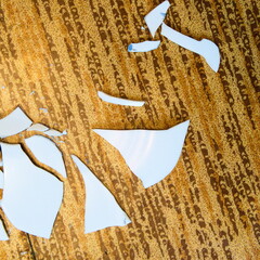 A broken white plate on the kitchen floor. The concept of family problems