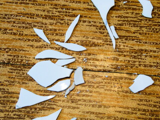 A broken white plate on the kitchen floor. The concept of family problems
