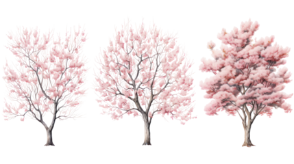  Set of Prunus lusitanica Trees - Group of Portuguese laurel trees with dense green foliage on transparent background