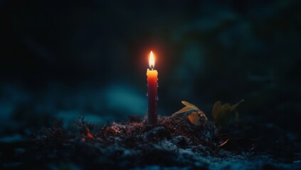 Single candle illuminates dark forest floor