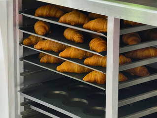 Freshly baked croissants arranged on racks in a modern bakery during the early morning hours