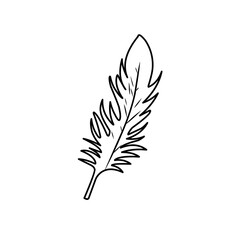 Hand drawn Doodle feathers